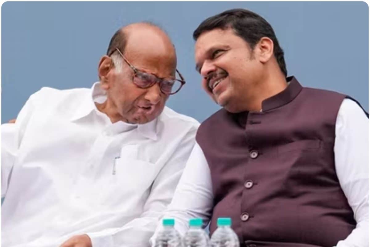 सांगली-अकोला में अटका BJP का खेल, शरद पवार की NCP बनी किंगमेकर, नगर निगम में गठबंधन की सियासत