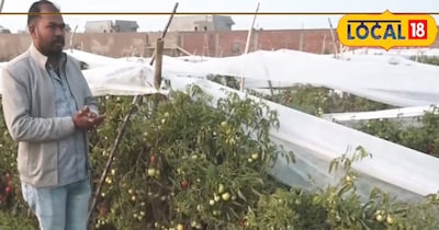 किसान सक्सेस स्टोरी