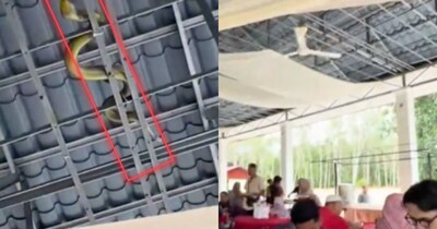 Wedding Panic: 'Giant Snakes' on Roof Cause Stampede, Truth Revealed!