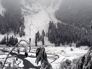 नए साल पर देखिए धरती के स्वर्ग का नजारा. (पीटीआई)