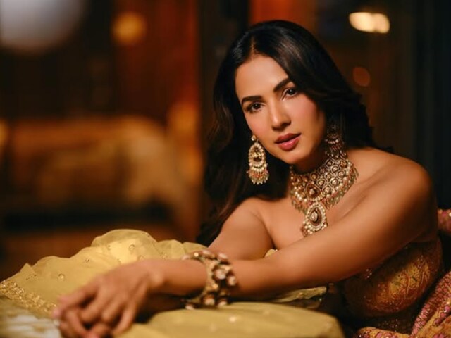 'किसी को बुरा दिखाकर अच्छा नहीं बन सकते', नेगेटिव पीआर पर भड़कीं सोनल चौहान