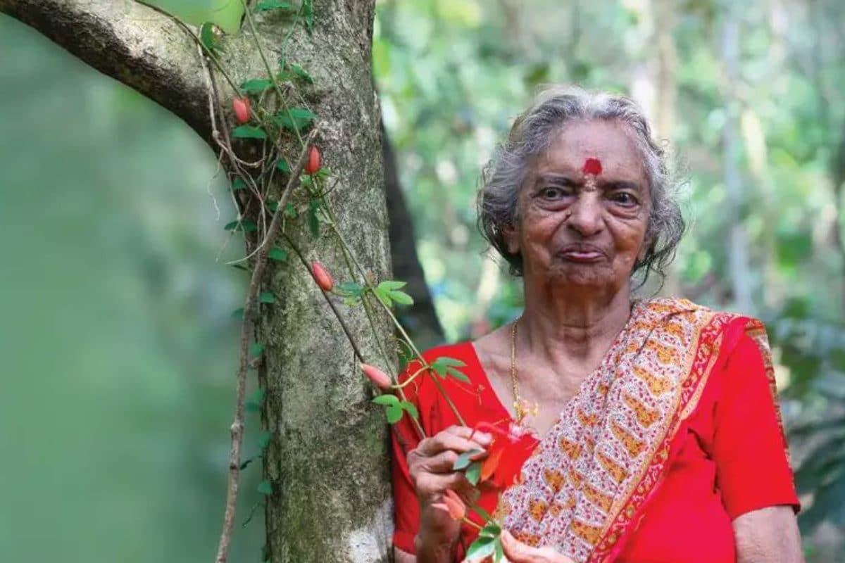 ये पेड़ मेरे बच्चे हैं: 92 साल की वन देवी देवकी अम्मा की अद्भुत कहानी ज‍िन्‍हें मिला पद्म सम्‍मान