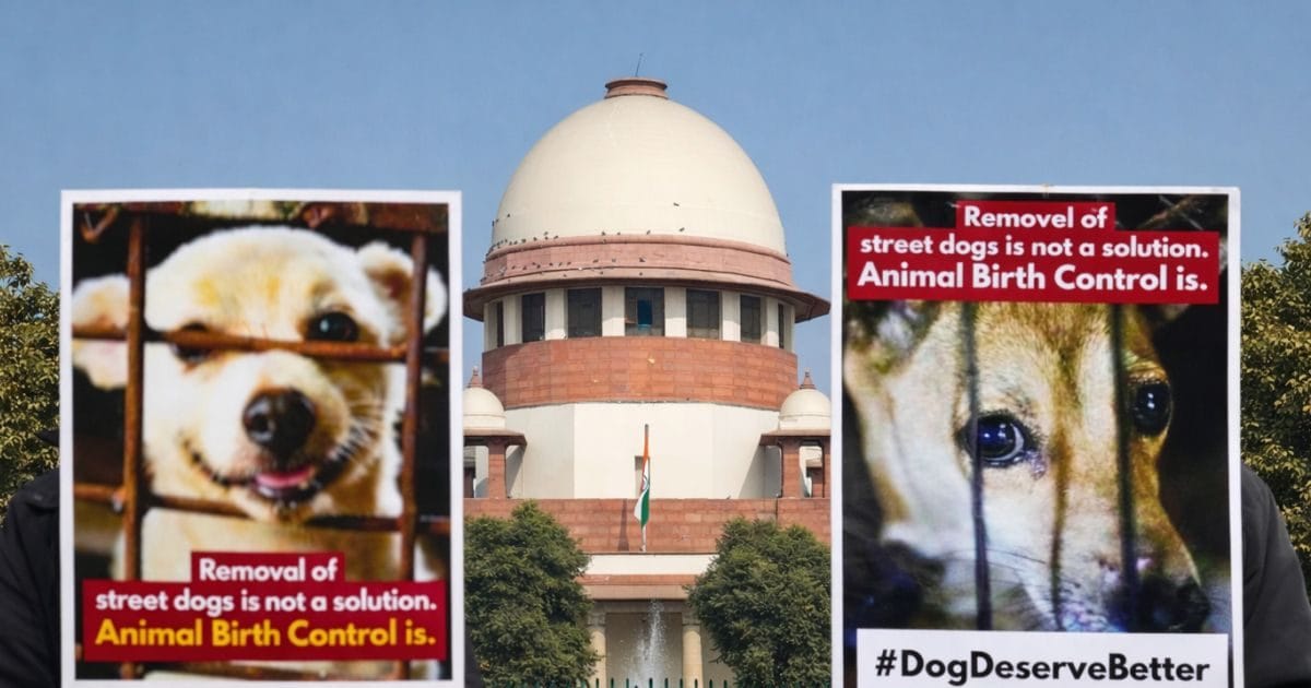 1.6 लाख कुत्तों की नसबंदी सिर्फ 2 महीने में? झारखंड के डेटा पर भड़का सुप्रीम कोर्ट, राज्यों को जमकर फटकारा