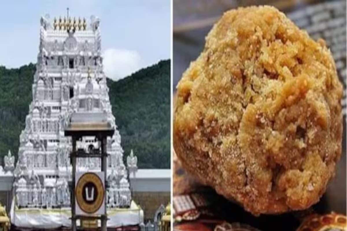 तिरुपति लड्डू में क्या था बीफ या सूअर की चर्बी CBI चार्जशीट ने खोल दिया राज