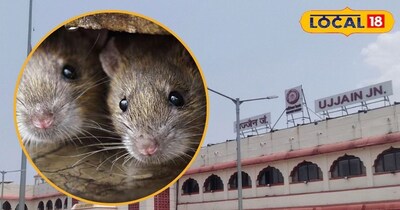 Ujjain Railway Station: Rats Hollow Out Tracks, Pose Major Safety Risk