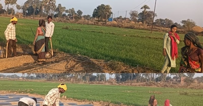 Rohtas Farmers Transform Barren Land into Million-Dollar Strawberry-Watermelon Farms