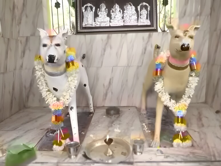 रामानगर, चन्नापटना, कुत्ता मंदिर, स्थानीय मान्यताएँ, कुत्तों की पूजा क्यों की जाती है, रामानगर में कुत्ते की पूजा 