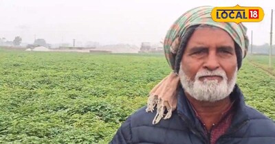 किसान गुलाम मुस्तफा ने बताया कि वे पिछले 15 सालों से आलू की खेती कर रहे हैं. इस सीजन में उन्होंने एक एकड़ जमीन पर आलू की बुआई की है. दो एकड़ जमीन पर आलू की खेती से लगभग 4 लाख रुपए की कमाई होती है.