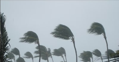 Fishermen Alert: Gujarat Braces for Weather Swings, Western Disturbance Impact