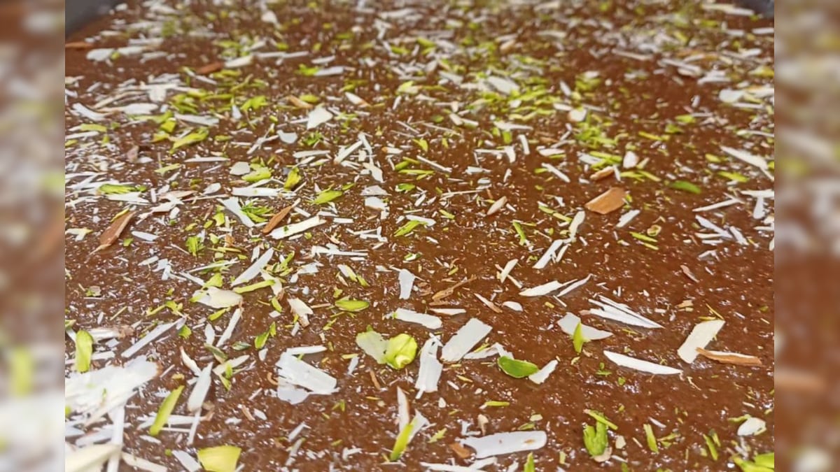 Habshi Halwa: रामपुर का फेमस हब्शी हलवा, नवाबी दौर की देन, स्वाद और सेहत का अनोखा संगम