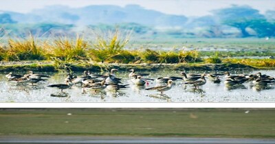 वेटलैंड्स दिवस से पहले एटा का पटना पक्षी अभयारण्य बना रामसर साइट