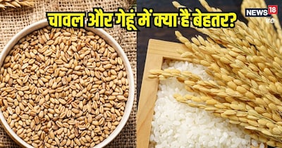 चावल या गेहूं, सेहत के लिए कौन है अधिक फायदेमंद?