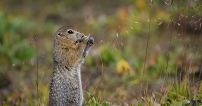 ठंड में बेजान लेकिन गर्मियों में काम करने लगता है दिमाग (इमेज- फाइल फोटो) 