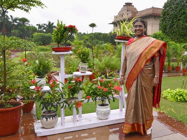 राष्ट्रपति भवन का अमृत उद्यान 3 फरवरी से 31 मार्च तक आम जनता के लिए खुलेगा