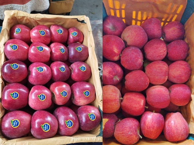 ताज सेब या 1 साल पुराना, आप कौन सा खा रहे हैं? कैसे रुके विदेशी सेब की डंपिंग ताज सेब या 1 साल पुराना, आप कौन सा खा रहे हैं? कैसे रुके विदेशी सेब की डंपिंग