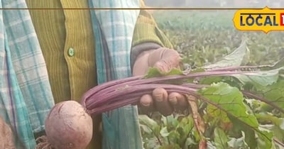 Bihar Farmer Becomes CEO of His Farm, Earns Lakhs from Beetroot Cultivation