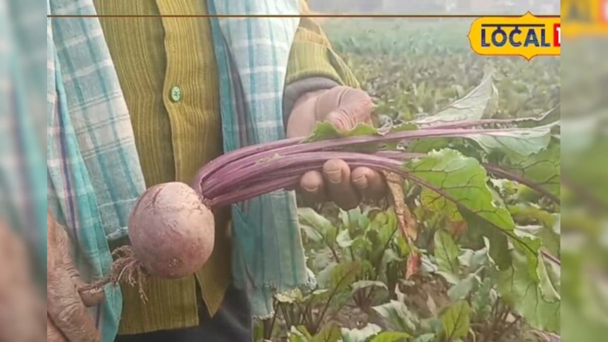 Video: खेती को बनाया बिजनेस, खुद बन गए CEO! सिर्फ 3 महीने में बने लखपति