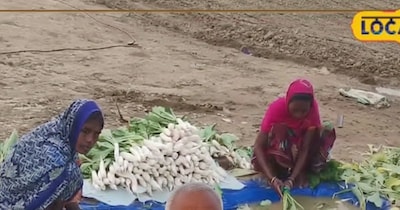 From Politics to Prosperity: Rajendra Yadav Earns ₹12 Lakh Annually with Vegetable Farming