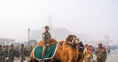 Bactrian Camels: Ladakh's 'Cold Desert Warriors' Rehearse for Republic Day Parade in Delhi