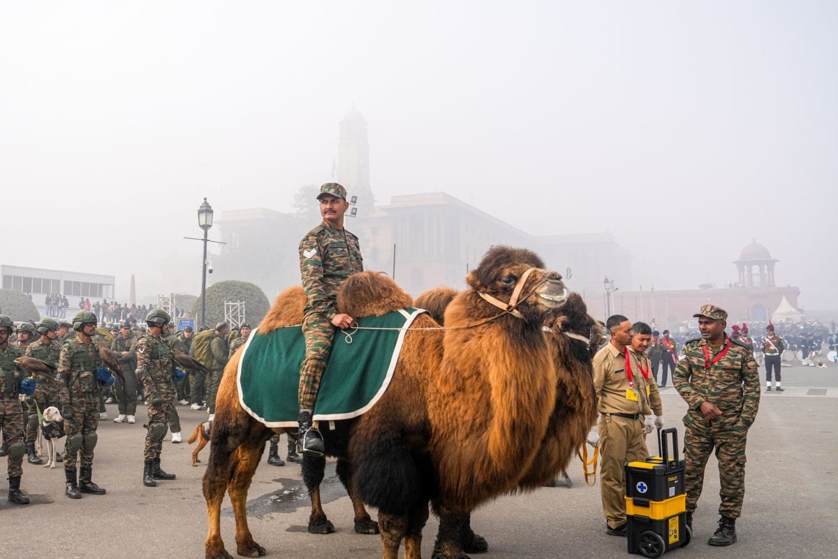 बर्फीले रेगिस्तान के ये योद्धा दिल्ली में क्या कर रहे इतने खास क्यों हैं दो कूबड़ वाले बैक्ट्रियन कैमल