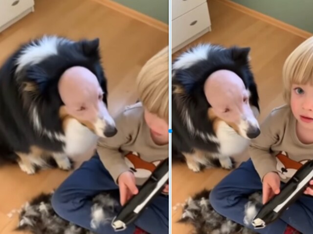 कमरे में कुत्ते के साथ था बेटा, आने लगी अजीब आवाज, चीख पड़ी मां!