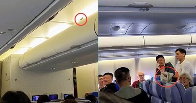 Sparrow Hijacks Cathay Pacific Flight, Causes 50-Minute Delay at Hong Kong Airport