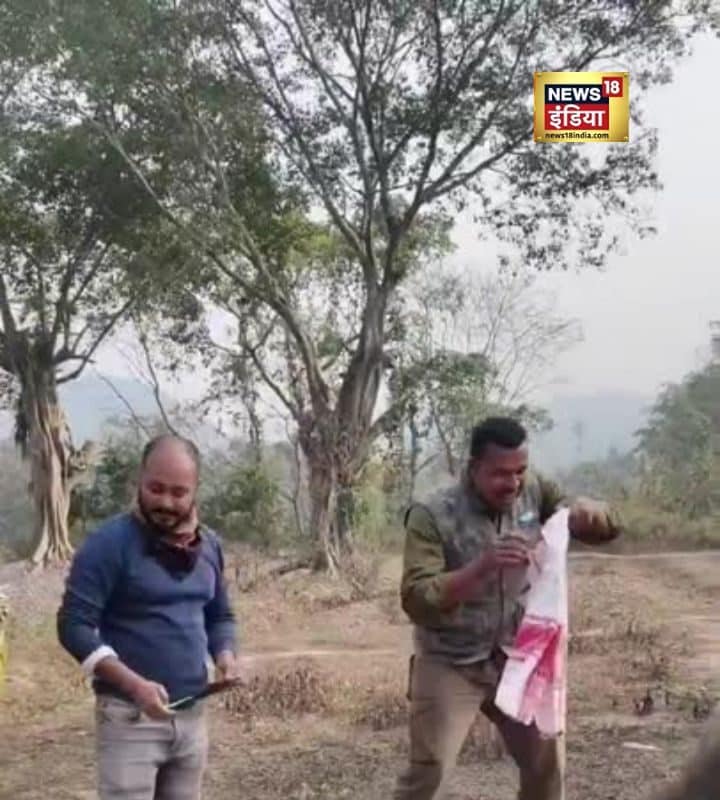 Viral Video: जब हथिनी ने मनाया बर्थडे! मोमो का प्यारा वीडियो देख दिल खुश हो जाएगा