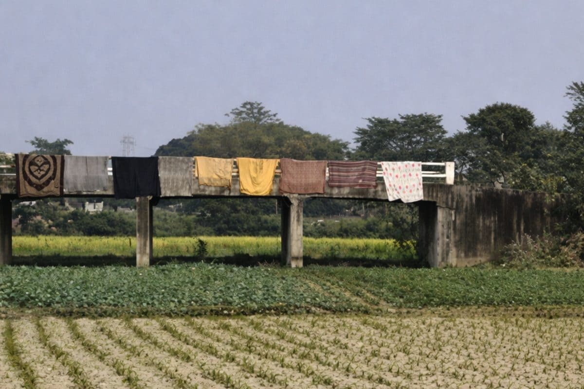 न नदी, न नाला, सड़क छोड़ खेत में पुल बना डाला, बिहार में किस इंजीनियर ने बनाया ये 'मुजस्सिमा'?