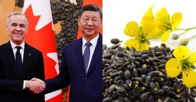 Canada-China Trade Deal Boosts Canola Exports, India's Role Explored