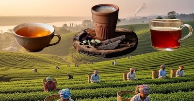 Dibrugarh: India's Tea Capital Where Every Moment is Steeped in Tea Culture