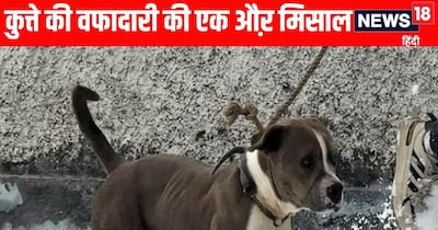 हिमाचल के चंबा में दो युवकों की लाश की निगरानी कुत्ता करता रहा.