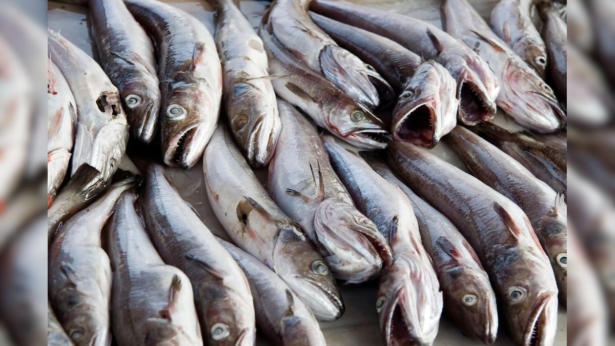 छत्तीसगढ़ की फेमस फिश डिलाइट! सेहत-स्वाद का जबरदस्त कॉम्बो, नोट करें रेसिपी