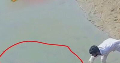 विशालकाय जीव को छूता शख्स.