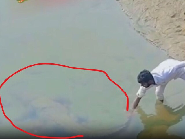 नदी के अंदर युवक को दिखा विशालकाय जीव, कैमरे में हुआ कुछ ऐसा रिकॉर्ड, सब दंग