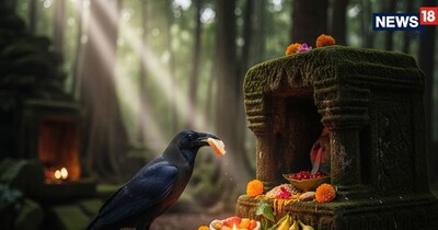 Feed Black Crows on Saturday: Remedy for Pitru Dosh, Shani Dosh & More