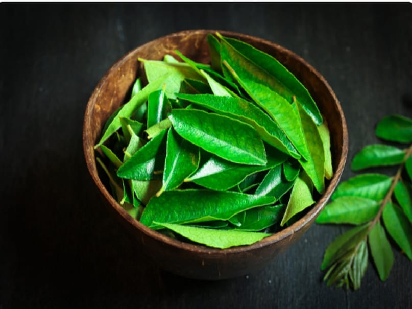 ঔষধি পাতার উপকারিতা, প্রাকৃতিক রোগ প্রতিরোধ ক্ষমতা বৃদ্ধিকারী, আয়ুর্বেদিক স্বাস্থ্য টিপস, পেঁপে পাতার উপকারিতা, ডায়াবেটিসের জন্য নিম পাতা, পেঁপে পাতার স্বাস্থ্য উপকারিতা, নিম পাতার ঔষধি ব্যবহার, পিপল গাছের স্বাস্থ্য উপকারিতা, কারি পাতার স্বাস্থ্যের জন্য উপকারিতা, বাড়িতে ঔষধি গাছ জন্মাতে