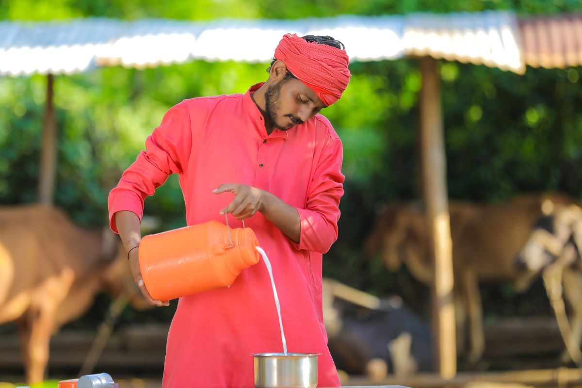 भारत के डेयरी उद्योग को खत्‍म नहीं कर सकता अमेरिका! दूध बेचने के लिए जानवर नहीं पालते 38 फीसदी लोग