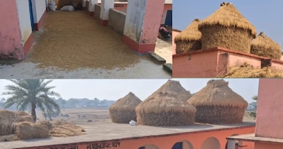 Bihar School Shock: Paddy Replaces Students on Roof, Teachers Absent in Jamui