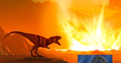 डायनासोर के बाद भी कई सालों तक जिंदा था ये जीव (इमेज- फाइल फोटो)