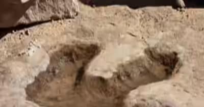 अब तक का सबसे बड़ा डायनासोर का पंजा (इमेज- फाइल फोटो) 