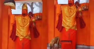 Bijnor Dog Circles Hanuman Statue for 72 Hours: Science Explains Unusual Behavior