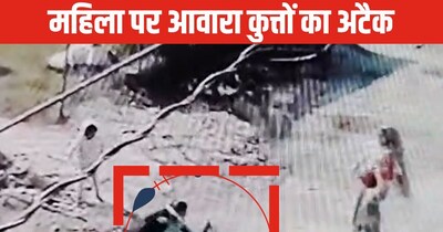 Terrifying Stray Dog Attack in Sawai Madhopur: Woman Saves Child, Gets Injured