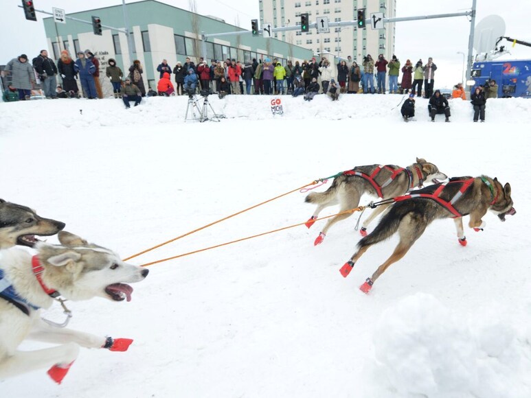 dog sled