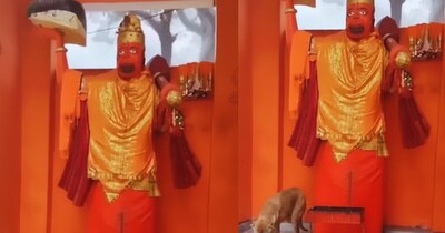 बिजनौर के डॉगी की भक्ति पर भोपाल के डॉक्‍टर ने लोगों को सतर्क रहने को कहा है. 