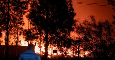 Argentina Wildfire Rages: 12,000 Hectares Burned, Arson Suspected