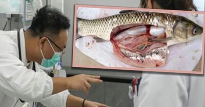 पांच दिन मौत से लड़ती रही महिला (इमेज- फाइल फोटो) 