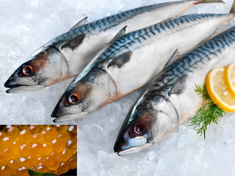 fish eggs benefits fish eggs benefits