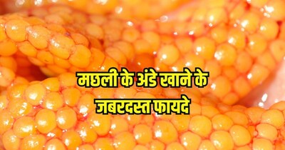 मछली के अंडे खाने के फायदे.