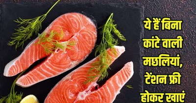 मछलियां जिनमें नहीं होते हैं कांटे.