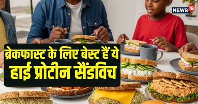  जानिए ऐसे 7 हाई-प्रोटीन सैंडविच जो मिनटों में बनकर तैयार हो जाते हैं.